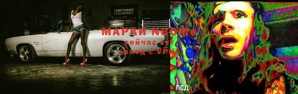 стаф Абаза