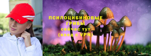 шишки Алзамай