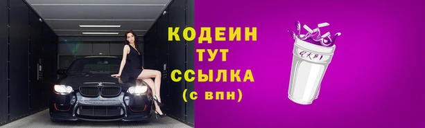 стаф Абаза